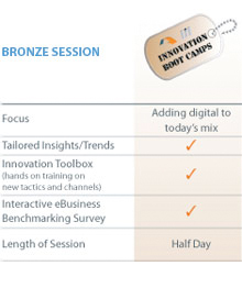 Bronze session
