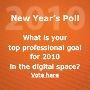 What is your top professional goal for 2010 in the digital space? 