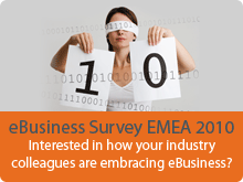 eBusiness Survey EMEA 2010