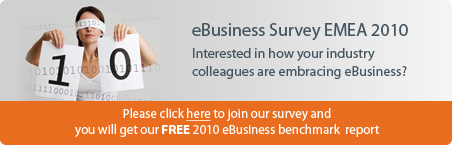 eBusiness Survey